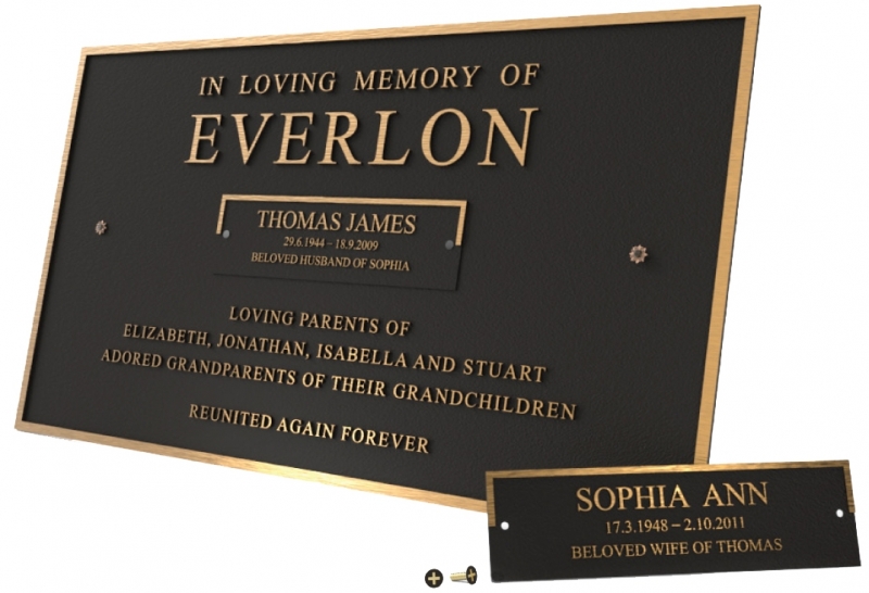 Detachable-Plate-Render Dual Series Render