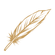 FMT0049 - Feather FMT0049 - Feather