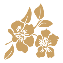 FMT0849 - Flower 1 FMT0849 - Flower 1