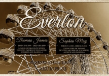 Ferris Wheel Ferris Wheel