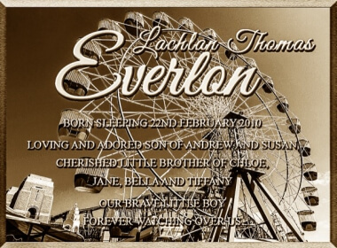 Ferris Wheel Ferris Wheel