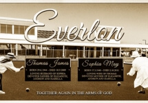 Lawn Balls Lawn Balls