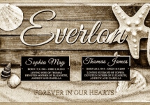 Sea Shells Sea Shells