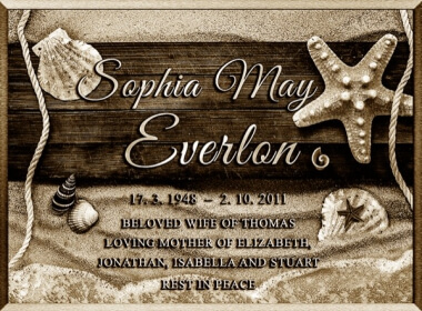 Sea Shells Sea Shells