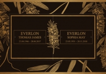 Bottlebrush copy Bottlebrush copy