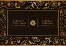 Daisy-Wallpaper copy Daisy-Wallpaper copy