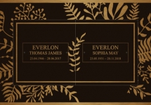 Leaves copy Leaves copy