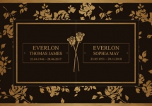 RoseWallpaper copy RoseWallpaper copy