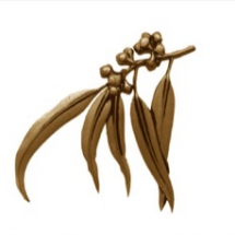 Gum Leaves Gum Leaves