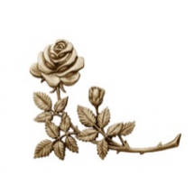 Rose Corner Rose Corner